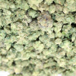 SUNSET GELATO - POPCORN - 56g