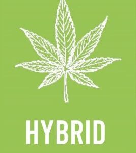 HYBRID