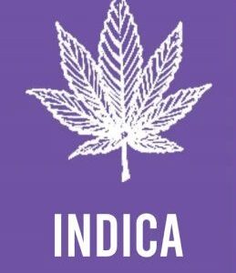 INDICA