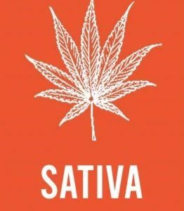 SATIVA