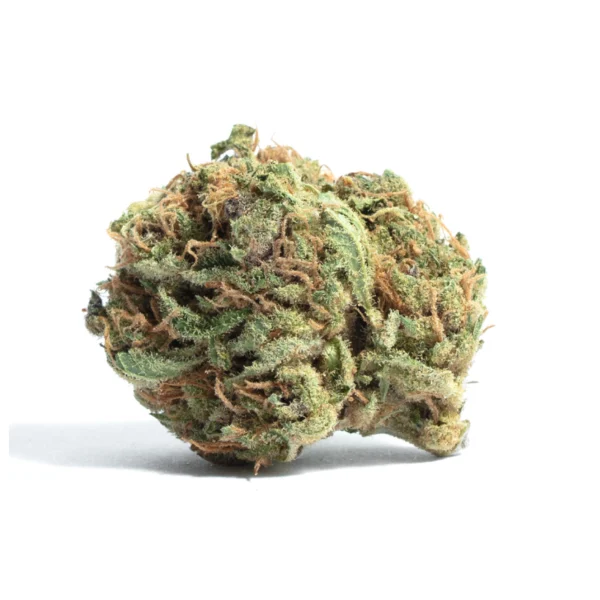 NORTH STAR OG